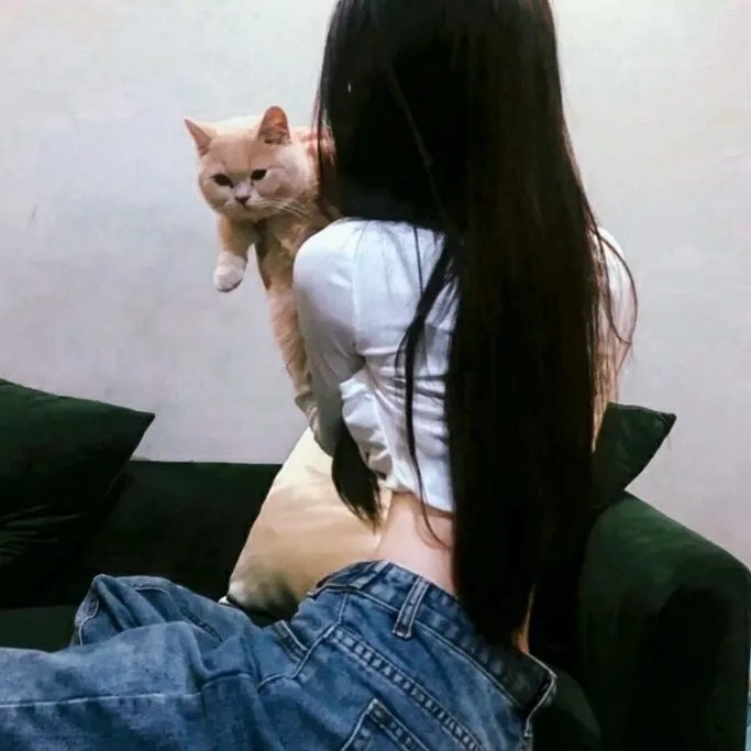 来自河底的问候