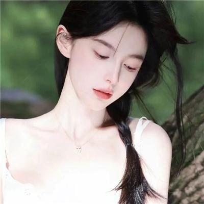 布查